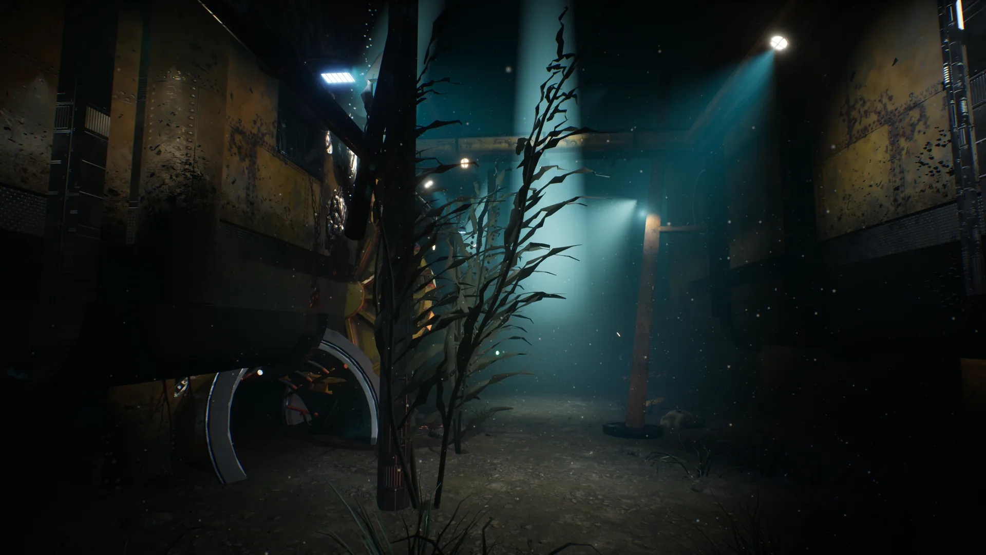 Kelp and light shafts between station modules on the seabed